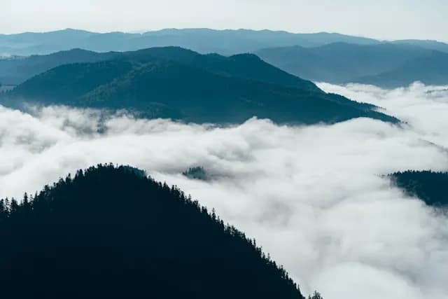 More Visibility & Higher Trust