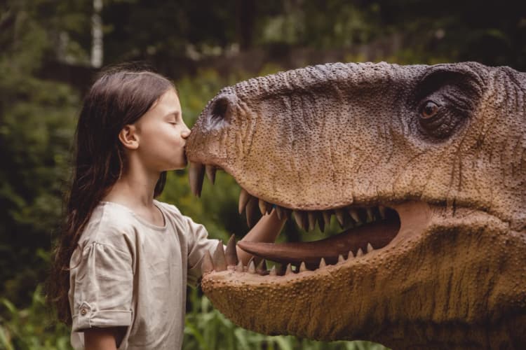 Świętokrzyska Wyprawa – Przygoda Dla Odkrywców