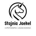 Logo firmy