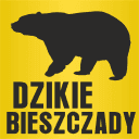 Logo firmy