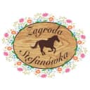 Logo firmy
