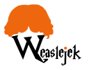 Logo firmy