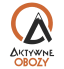 Logo firmy