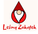 Logo firmy