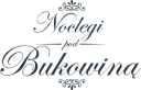 Logo firmy