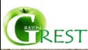Logo firmy
