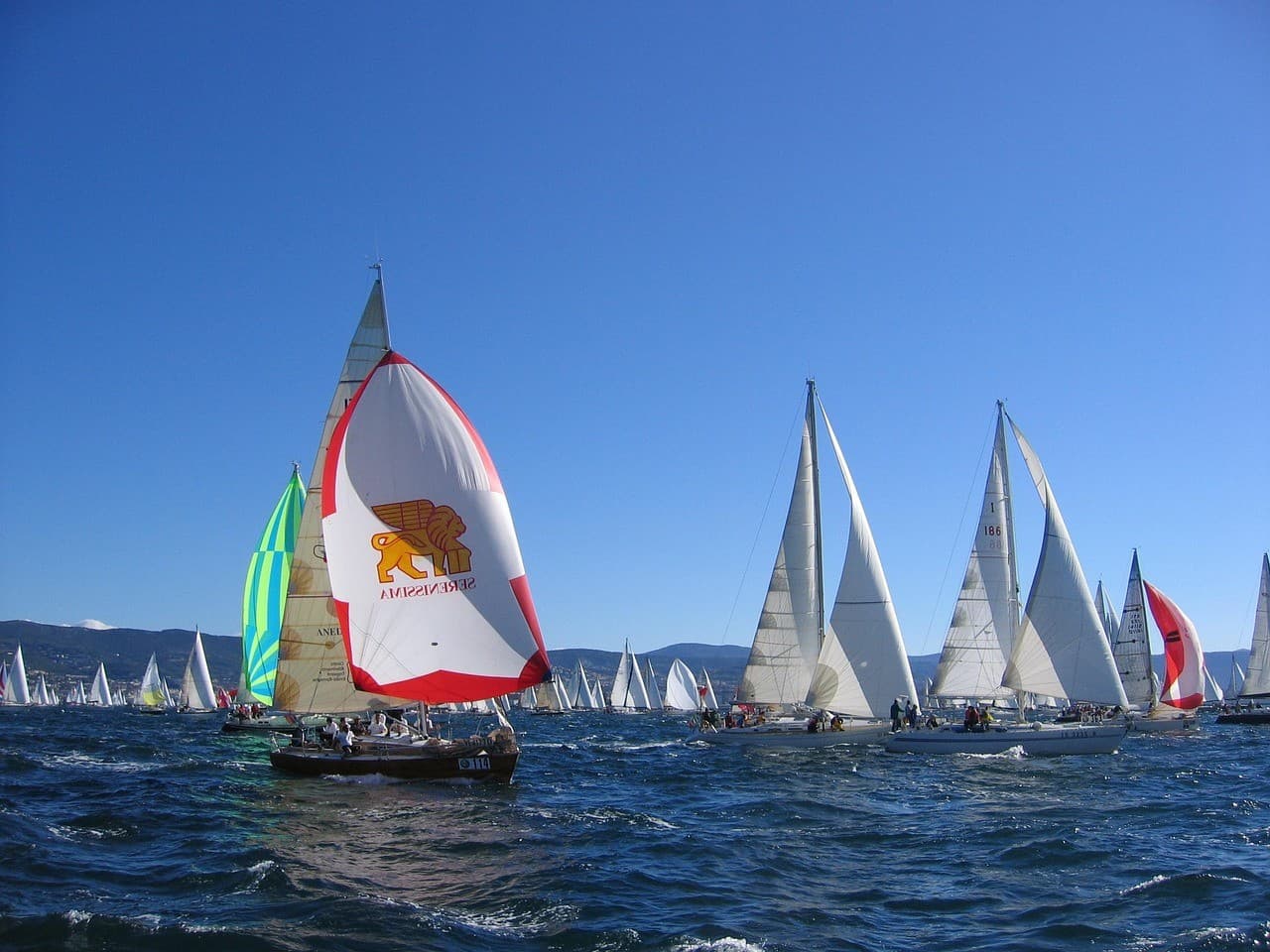 Holidays on the Water – Regatta, Sailing, and Windsurfing Camp