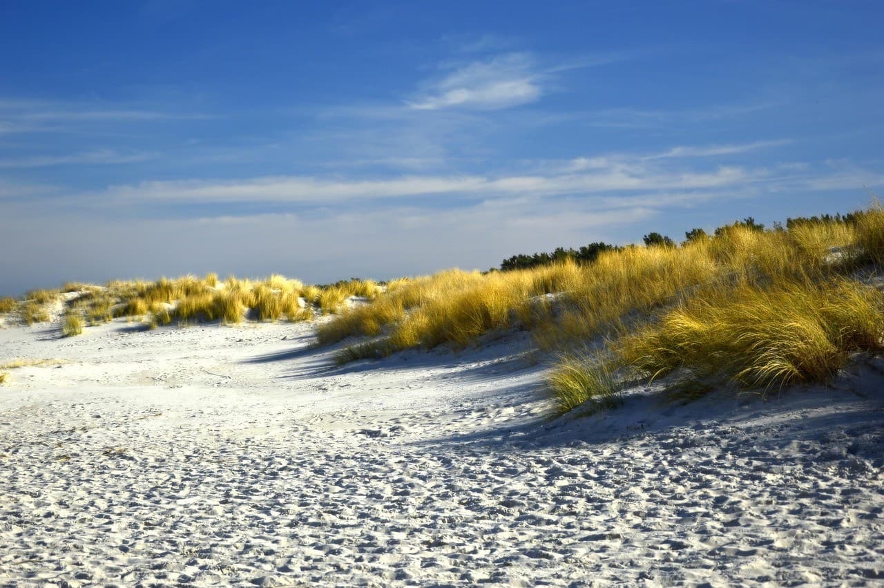 How to avoid getting bored at the beach? 10 simple games and activities for kids.