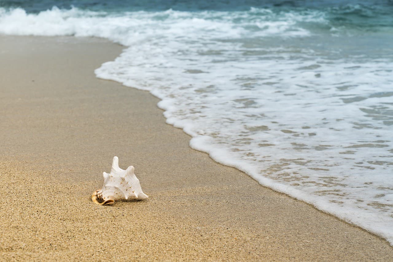 Best Beaches for Families with Children on the Baltic Sea – 2025 Ranking