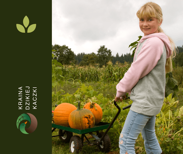Wyhoduj swoją dynię - warsztaty ogrodnicze