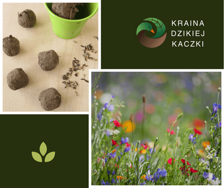 Flower Power - bomby kwiatowe, warsztaty przyrodnicze