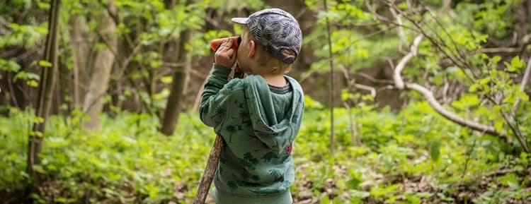Odkryj las i możliwości, które daje przebywanie w nim!