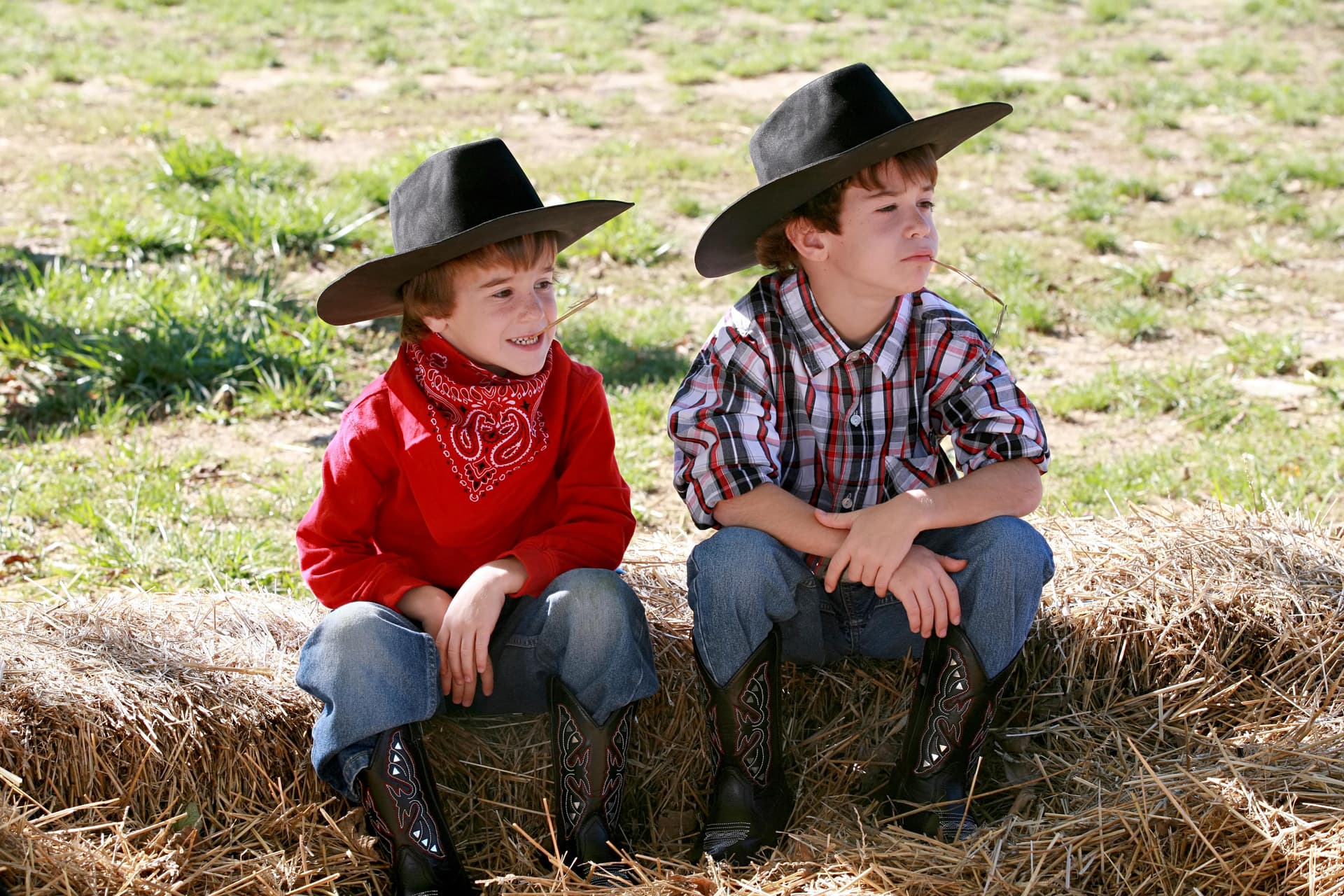 Excursions for Preschoolers - Wilga Stable