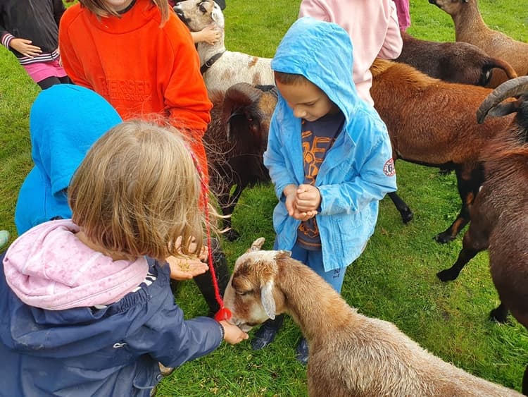 Futerko i piórko - jednodniowa wycieczka do Krainy Dzikiej Kaczki