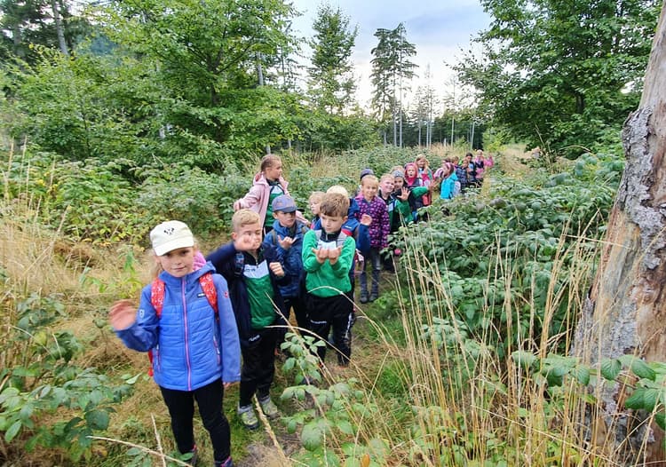 Park Krajobrazowy Orlich Gniazd i Ojcowski Park Narodowy 3 dni