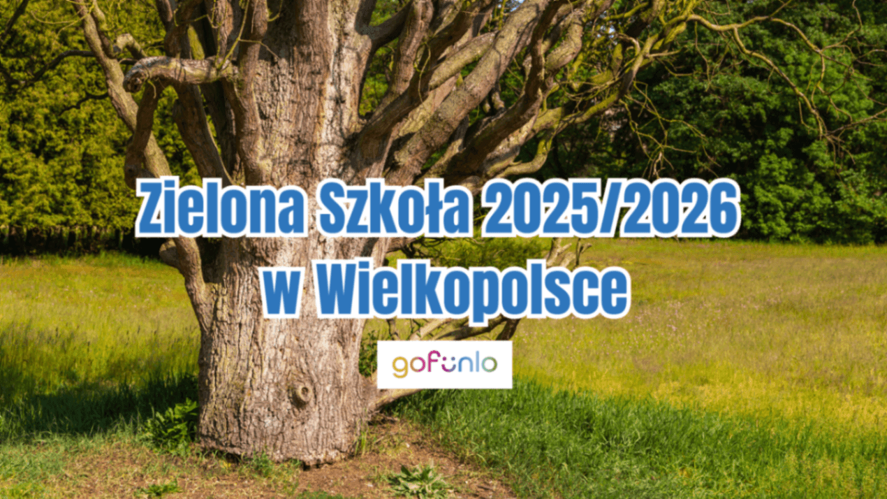 Green School 2025/2026 in Greater Poland – 3 days full of fun, sports, and creative workshops for children
