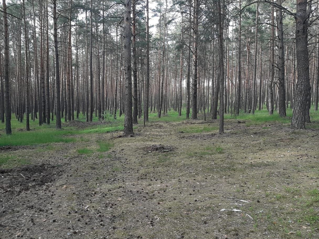 Wycieczki szkolne w Lubuskiem – Idealne miejsca na edukacyjne wypady