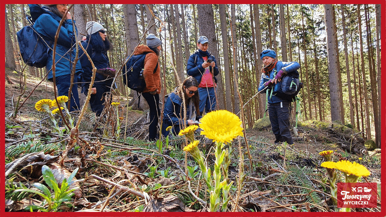 Dolny Śląsk. Rudawy Janowickie (Bolczów, Sokoliki, Kolorowe Jeziorka) i okolice