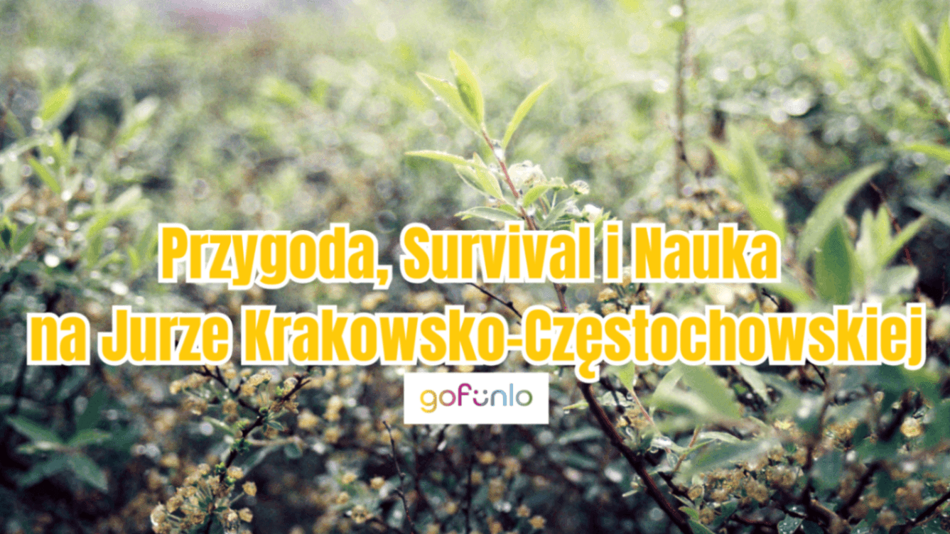 Przygoda, Survival i Nauka na Jurze Krakowsko-Częstochowskiej – Wycieczka dla Młodych Odkrywców