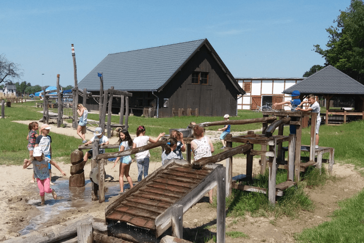Dolny Śląsk - Trzebnica i Milcz (1 dzień)