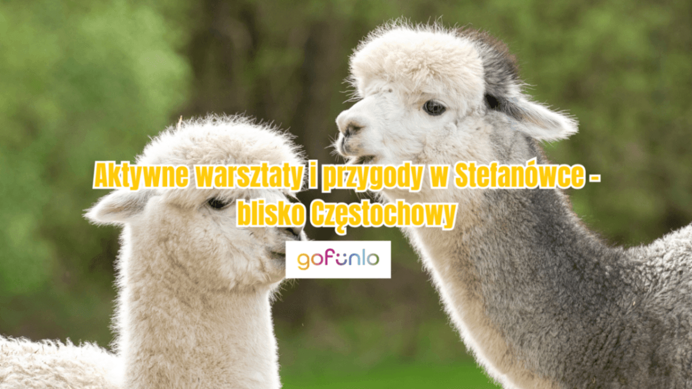 Active Workshops and Adventures in Stefanówka – Close to Częstochowa