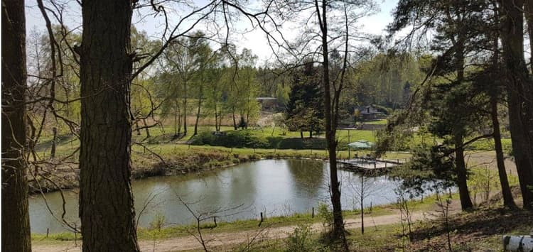 Przystań z Naturą - warsztaty w Krainie Dzikiej Kaczki