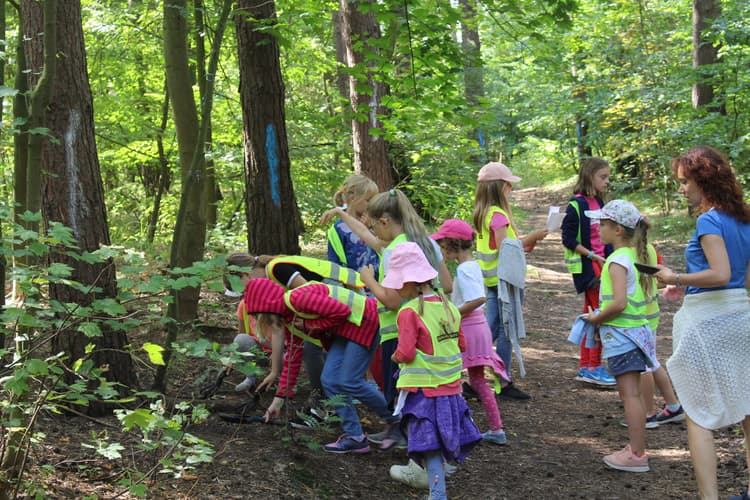 Gra terenowa "Poszukiwacze bursztynowych skarbów"-atrakcje dla dzieci