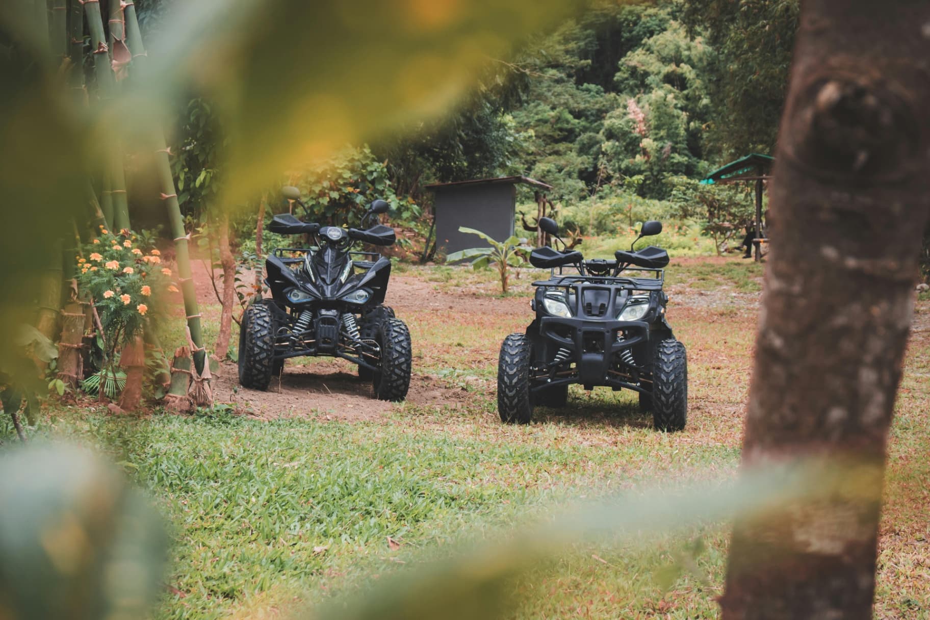 Four Wheels, Big Fun: Adventure at Quad Camps!