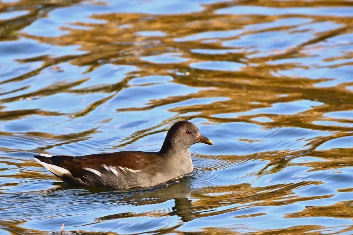 Safe bathing – rules for resting by the water with young children