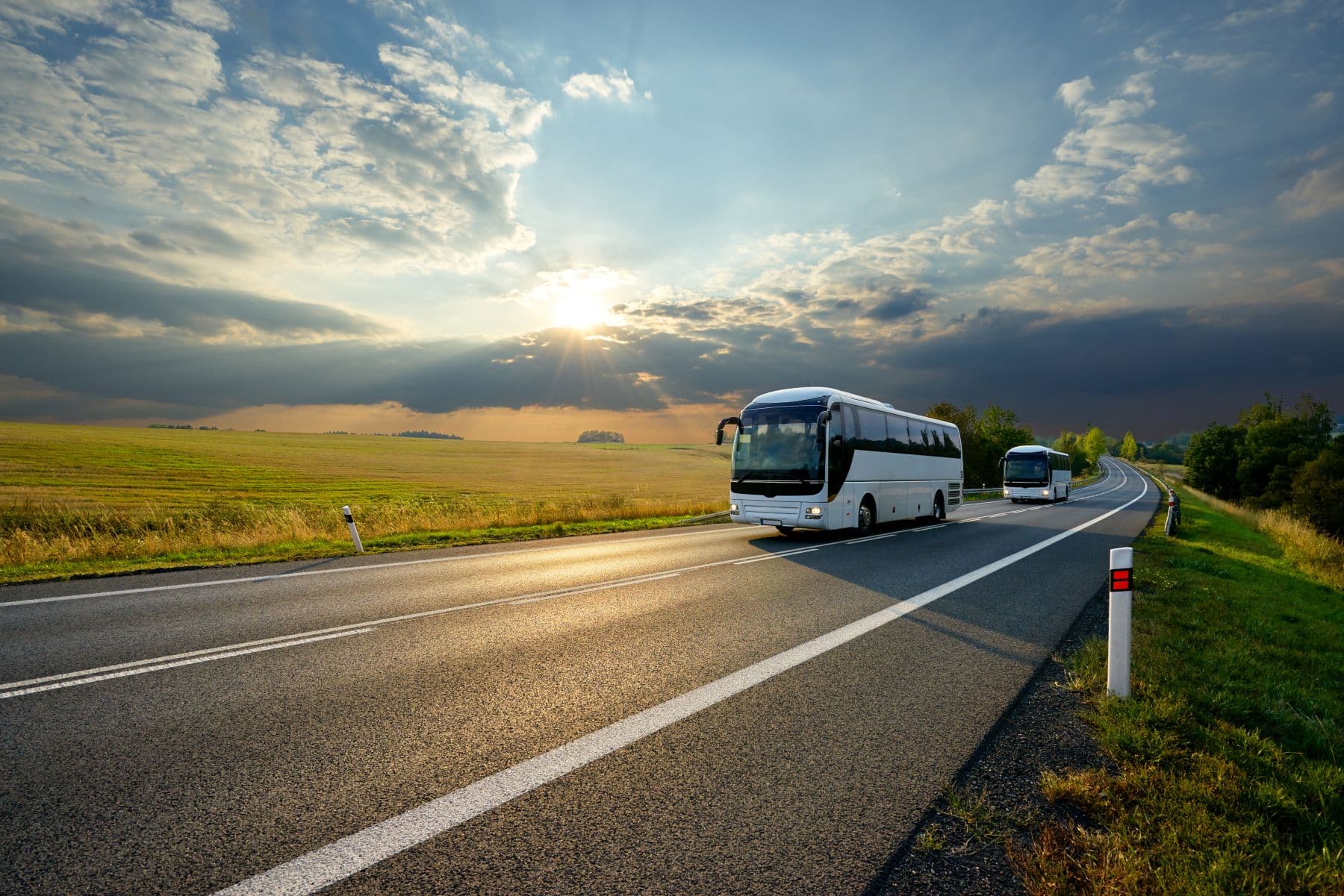 Camps and Colonies in Europe – What to Choose?