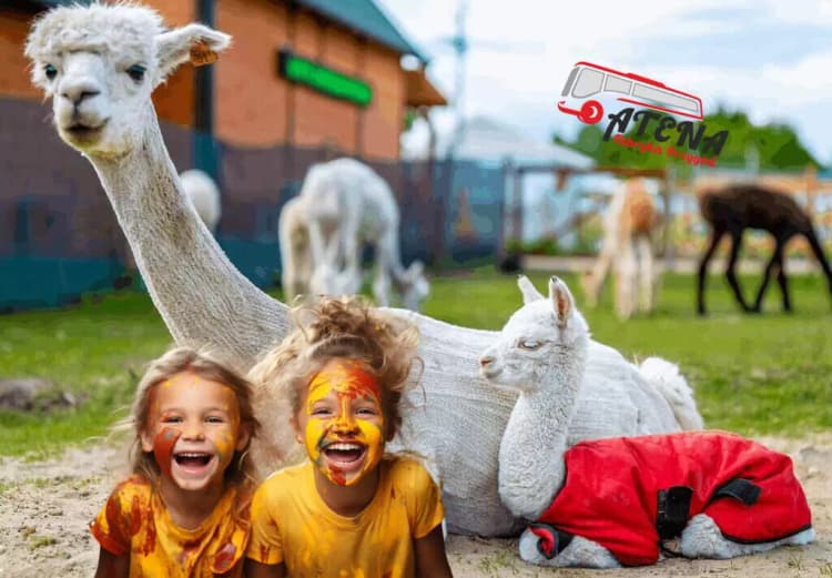 1 - dniowa wycieczka szkolna do Mini ZOO Animal World Zabrze z warsztatami w cenie.