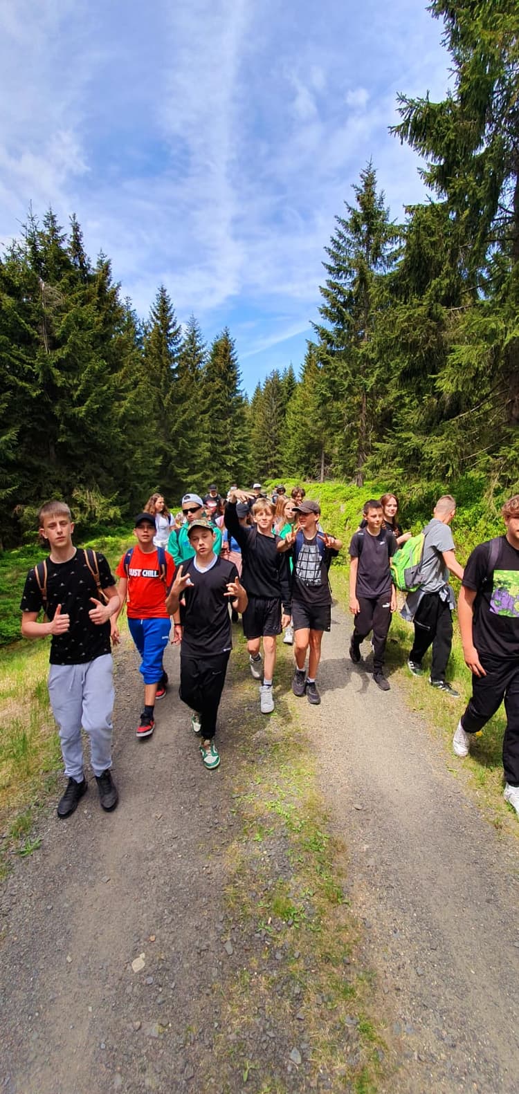 Wycieczka do lasu - województwo podkarpackie