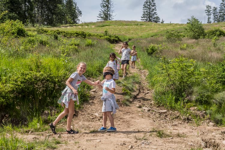 Wycieczka z grą terenową