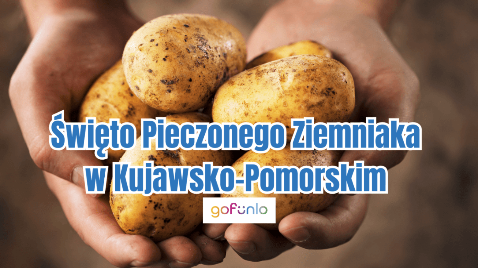 Baked Potato Festival in Kuyavian-Pomeranian – Attractions and Workshops at Agrodeo