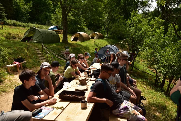 Wycieczka do lasu - w twoich okolicach!