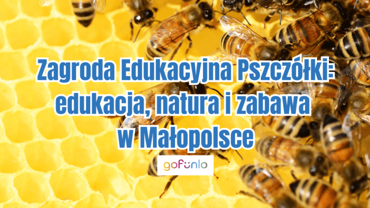 Zagroda Edukacyjna Pszczółki: edukacja, natura i zabawa w Małopolsce
