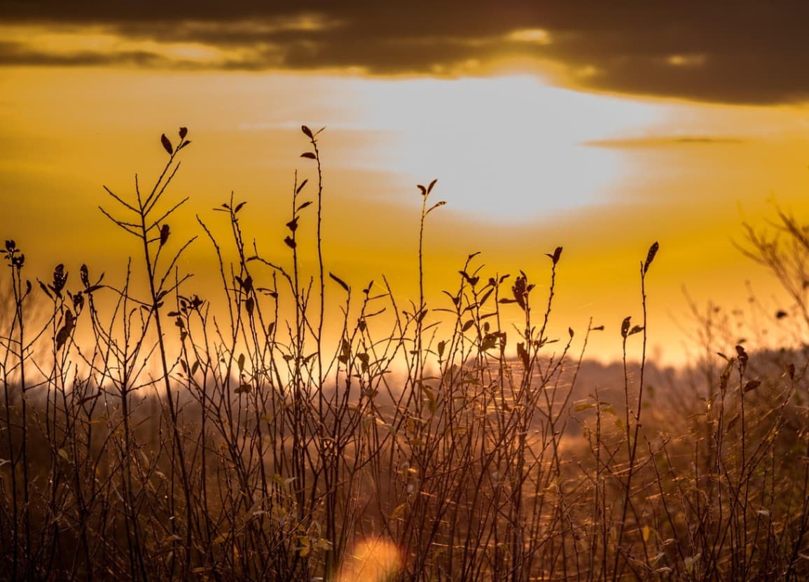 School trips to Podlasie – Discover the Magic of Eastern Regions of Poland
