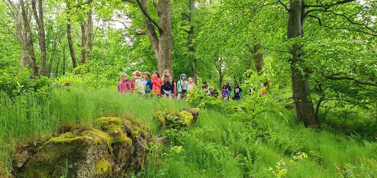 Wycieczka do lasu - województwo warmińsko-mazurskie