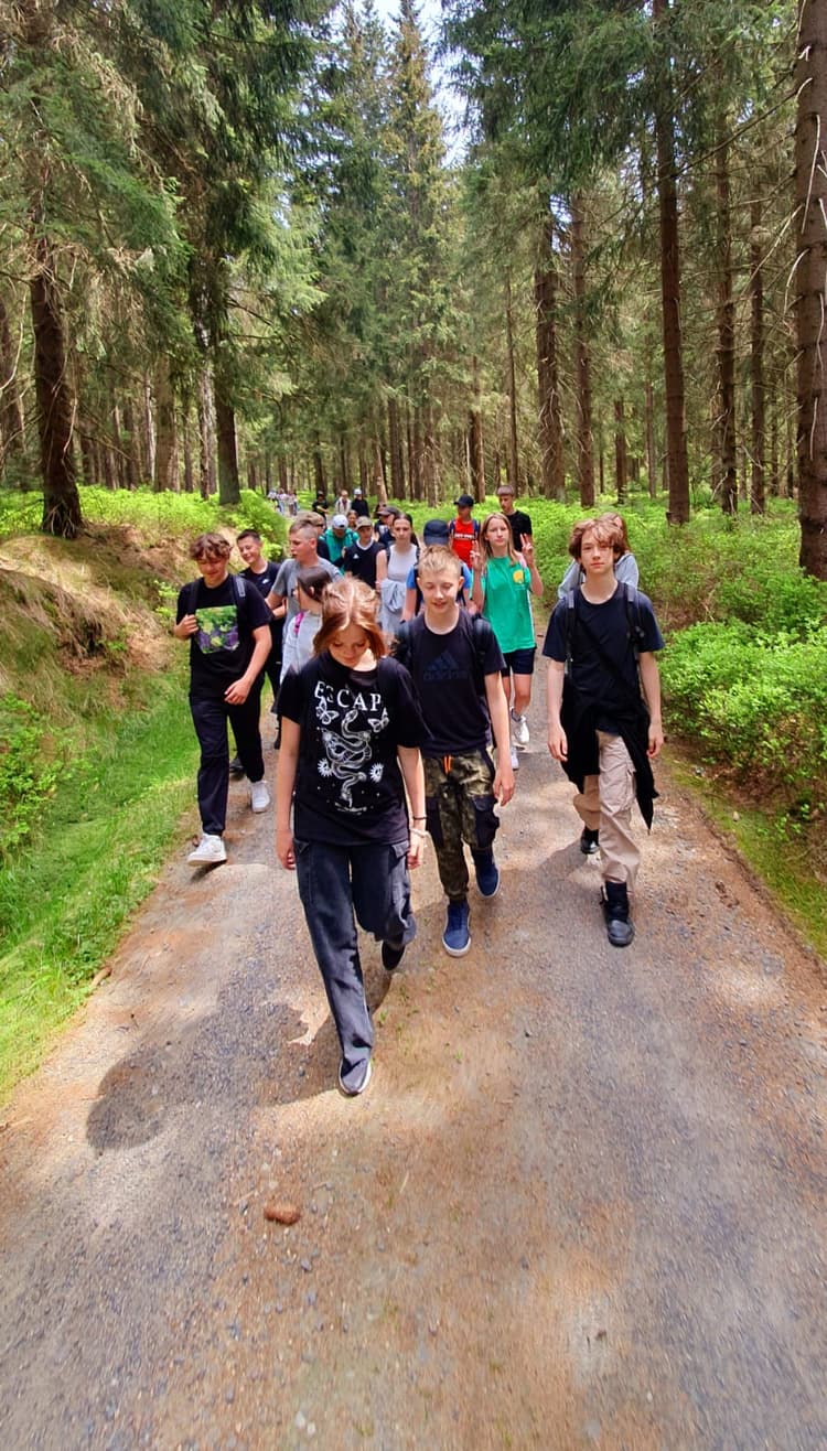 Wycieczka do lasu - województwo śląskie