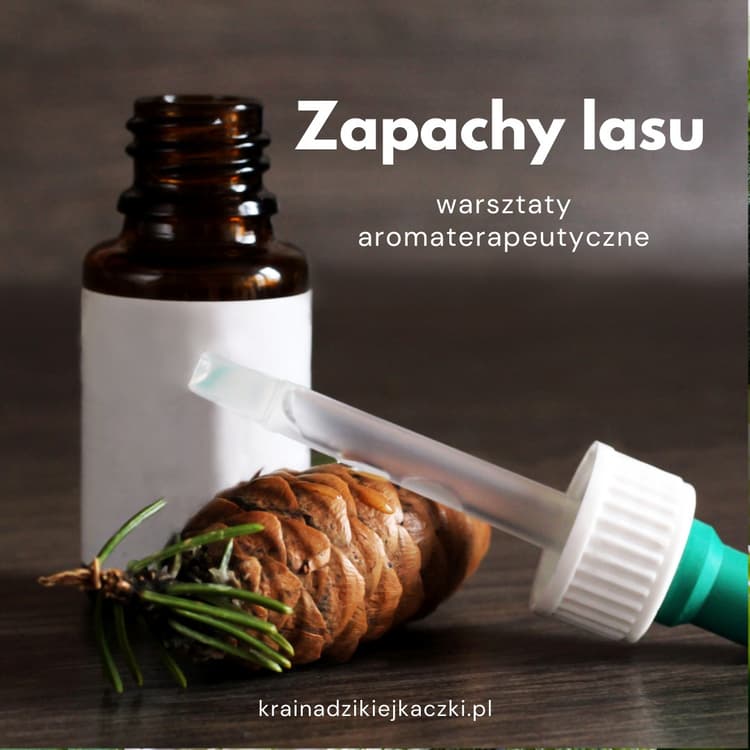 Zapachy Lasu - warsztaty perfumeryjne, aromaterapeutyczne
