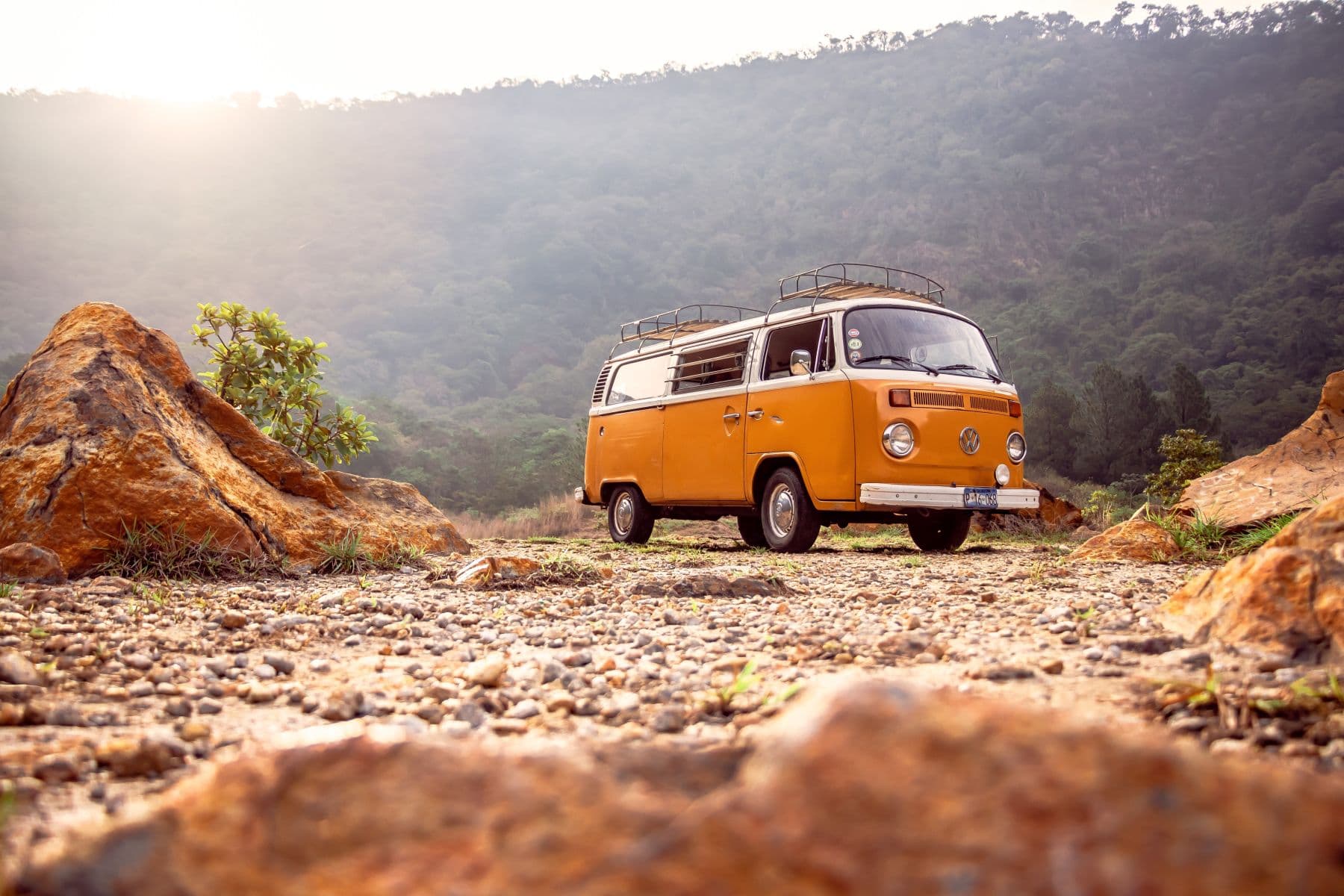 School Trip: Domestic or Abroad?