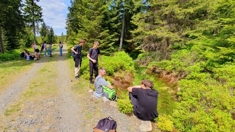 Wycieczka do lasu - województwo podlaskie